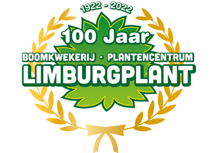 Limburgplant